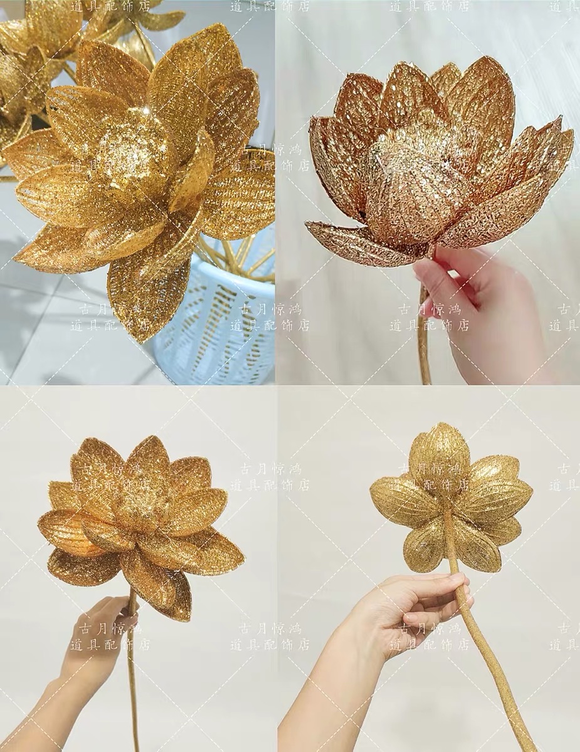 Hoa sen vàng cầm tay chụp ảnh