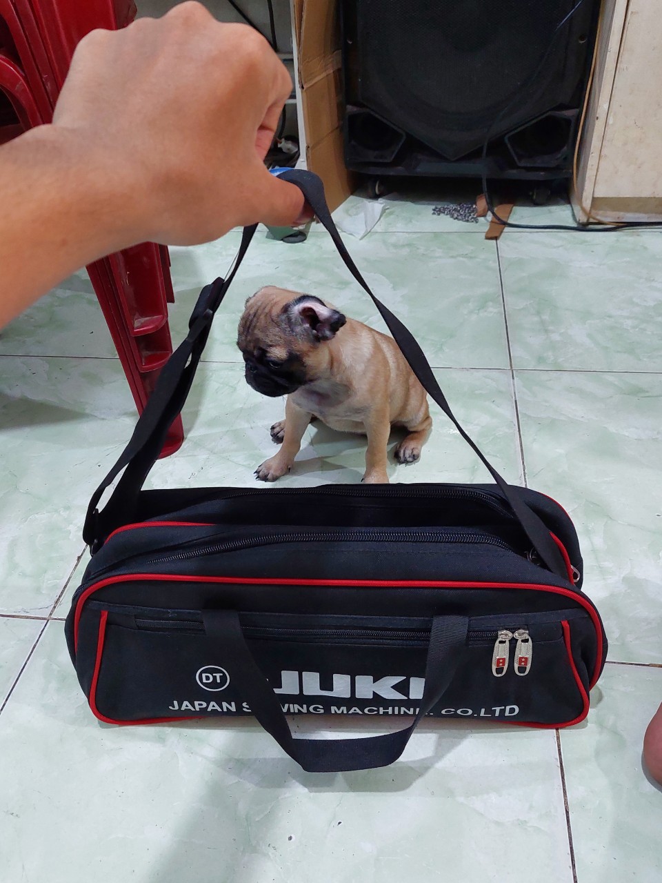 túi juki com bo  cao cấp