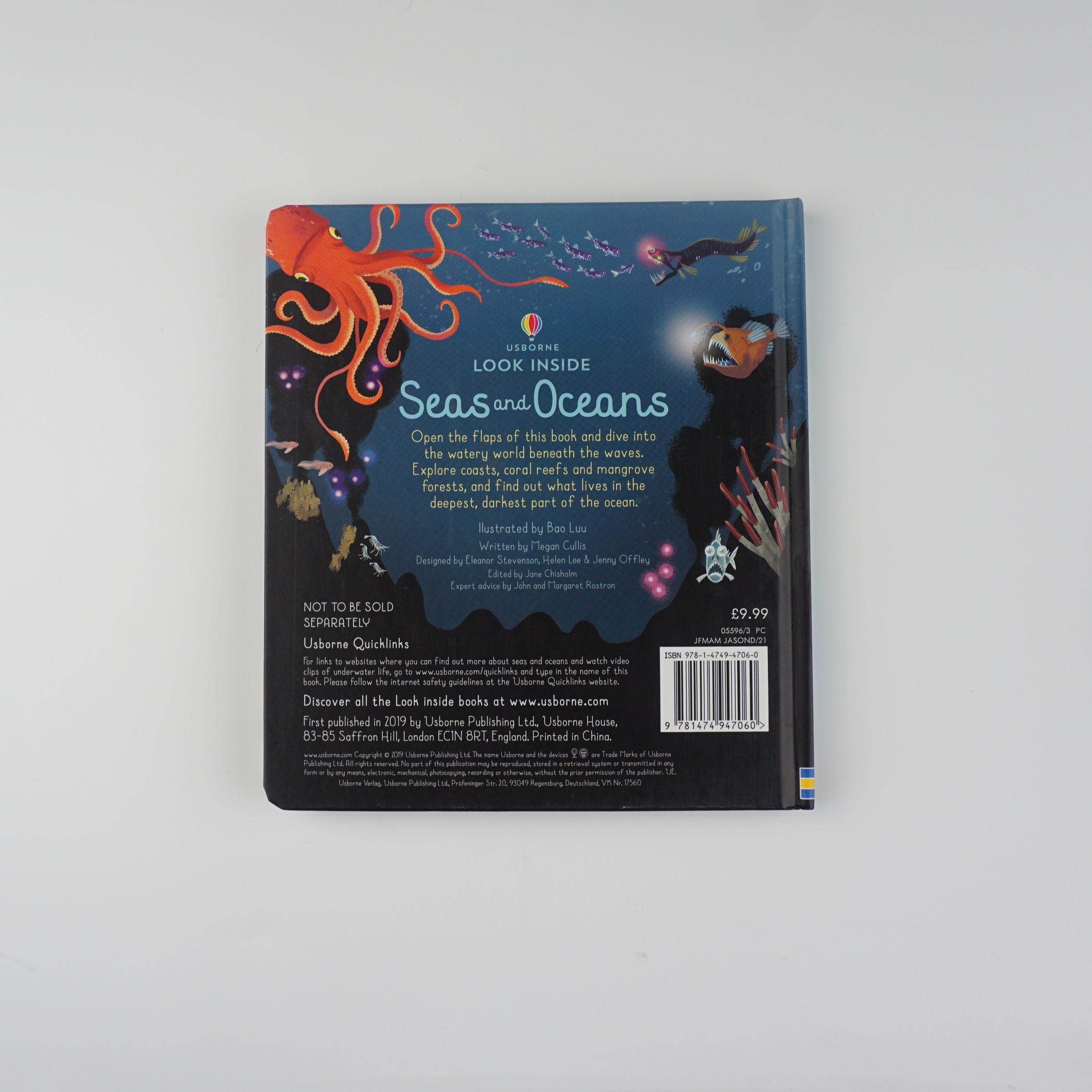 Look Inside Seas and Oceans