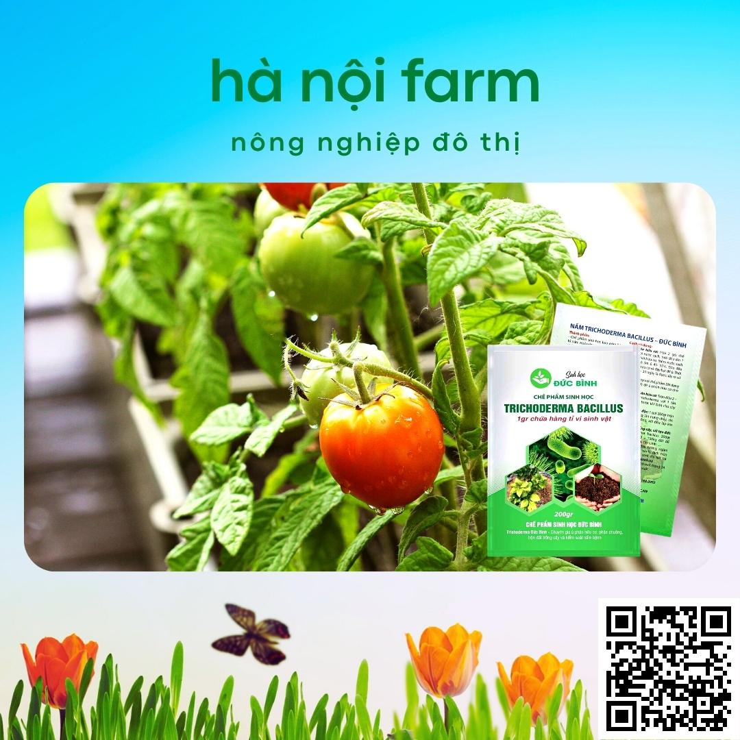 Men ủ sinh học TRICHODERMA BACILILUS gói 200g, tricho đức bình
