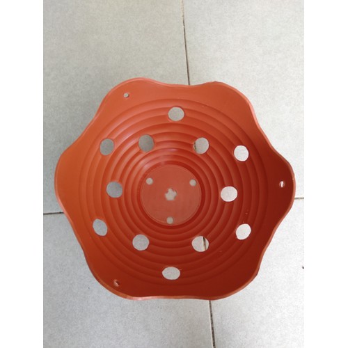 Combo 2 chậu nhựa trồng lan miệng lượn sóng phi 20 cm