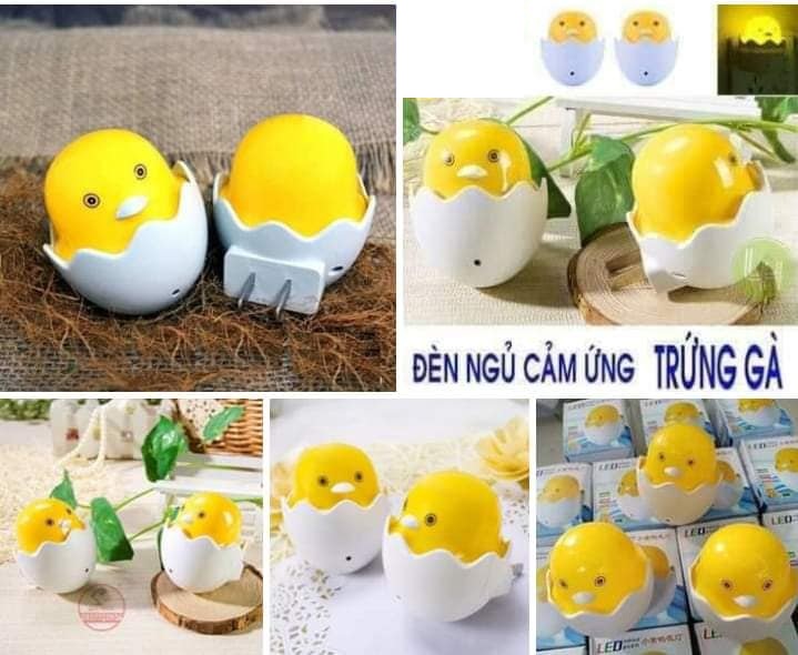 Đèn ngủ cảm biến hình trứng gà tự động sáng khi trời tối con gà