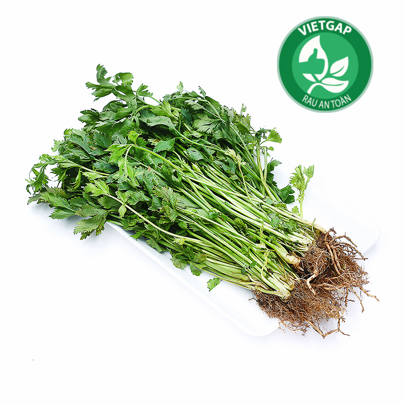 - cần tây nhỏ wineco gói 100g