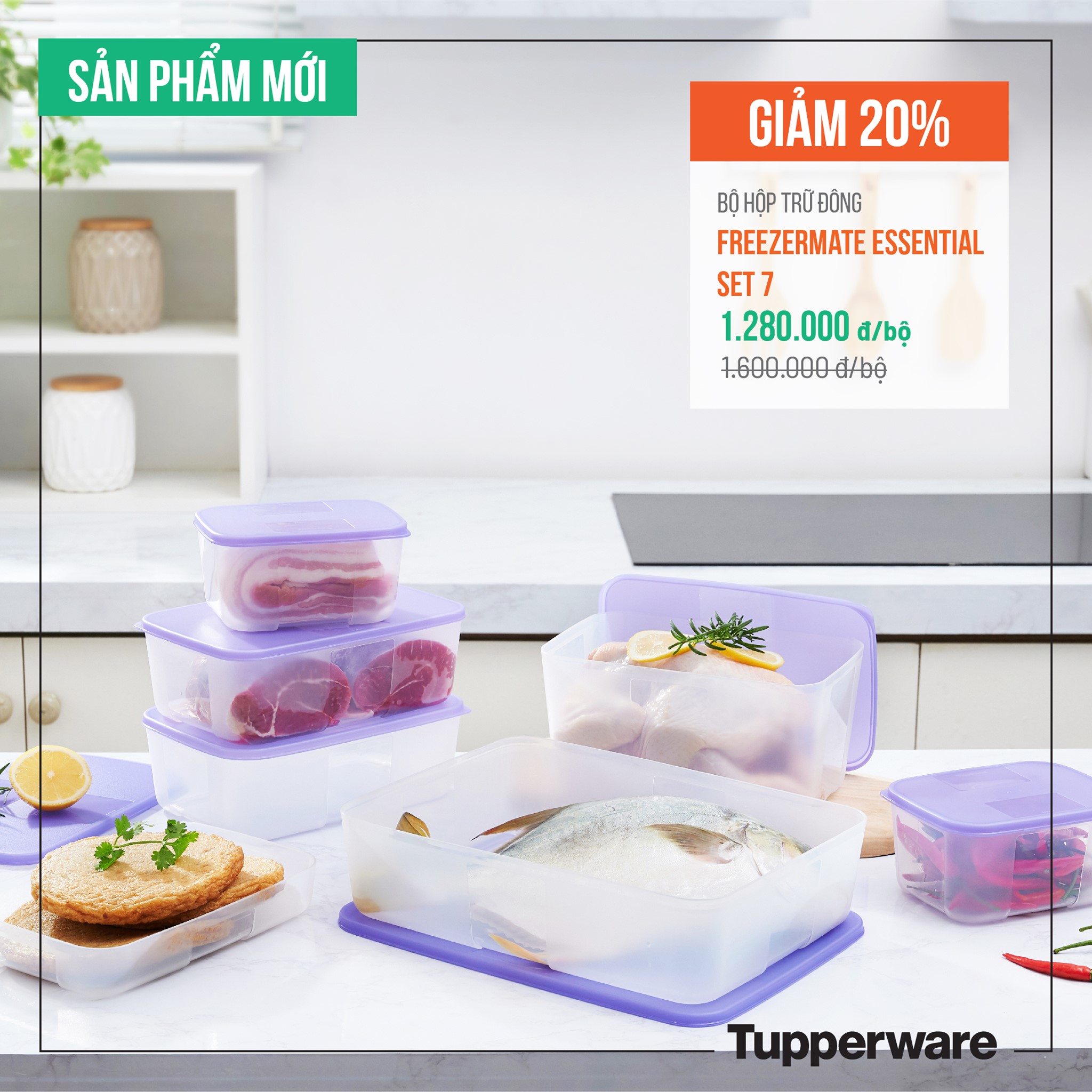 [HCM]Bộ hộp trữ đông 7 màu mới