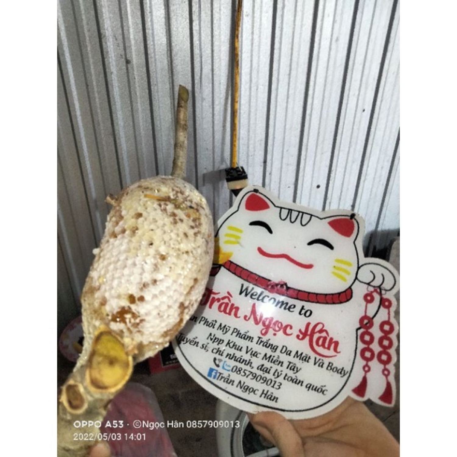 Mật ong ruồi nguyên chất