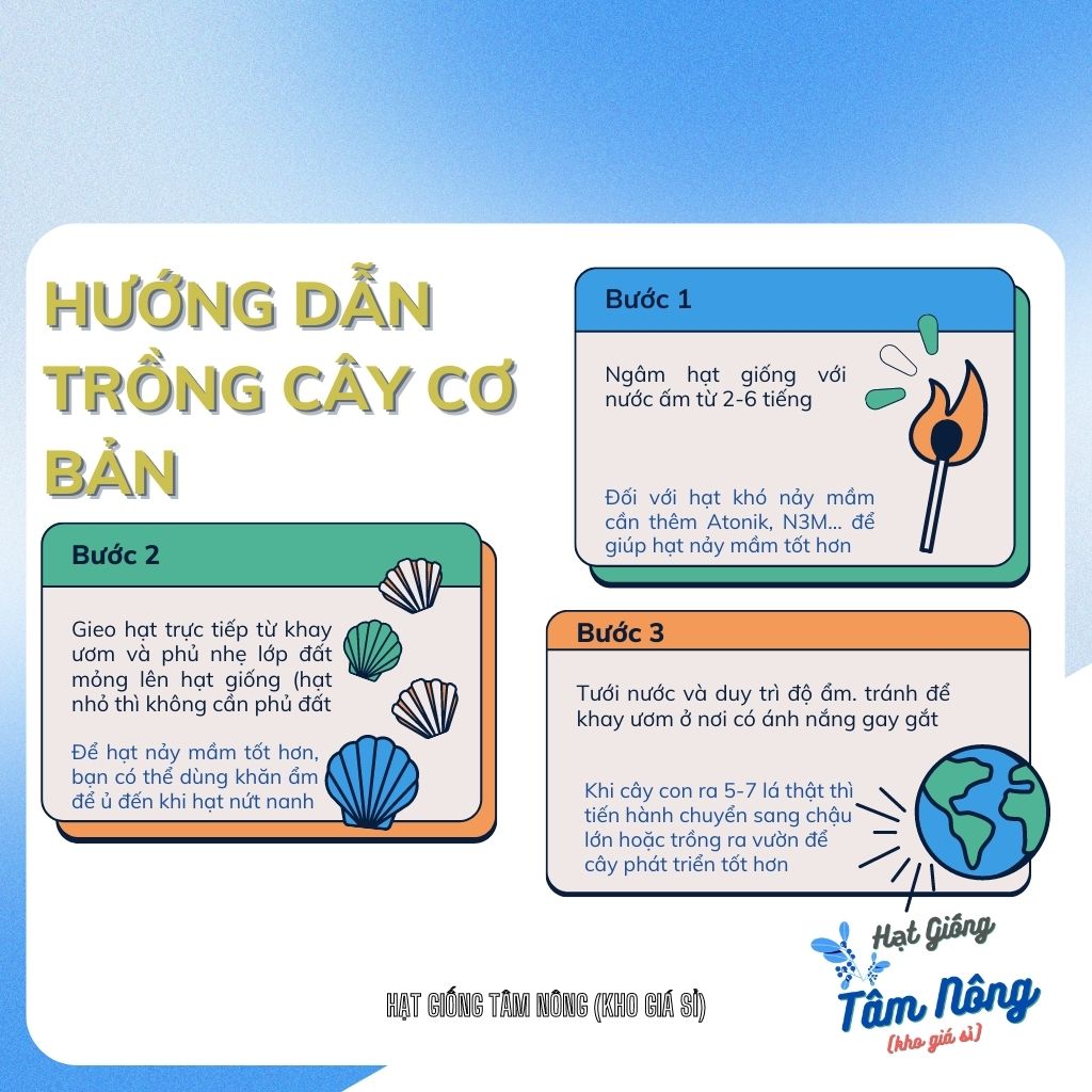 Hạt giống Cải bó xôi (rau BINA) chịu nhiệt Tâm Nông  gói 20g. Freeship đơn hàng từ 29k
