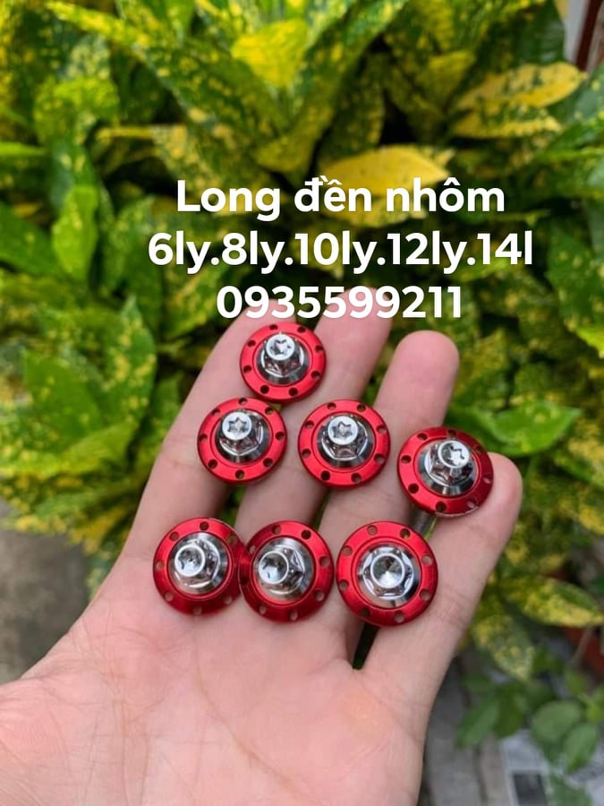 combo 10 cái long đên takegawe