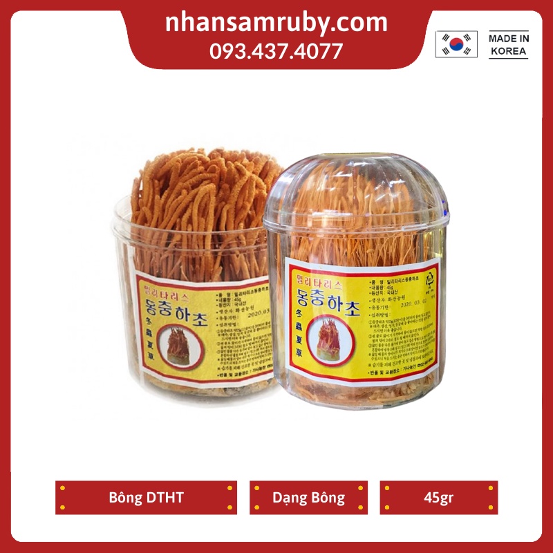 [HCM]Bông Đông Trùng Hạ Thảo Hàn Quốc 45g