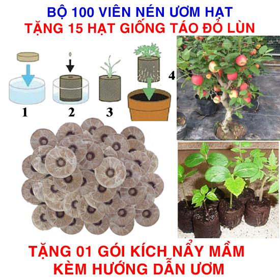 Bộ 100 viên nén ươm hạt (tặng 15 Hạt giống Táo đỏ lùn + Kích thích nẩy mầm, Hướng dẫn)