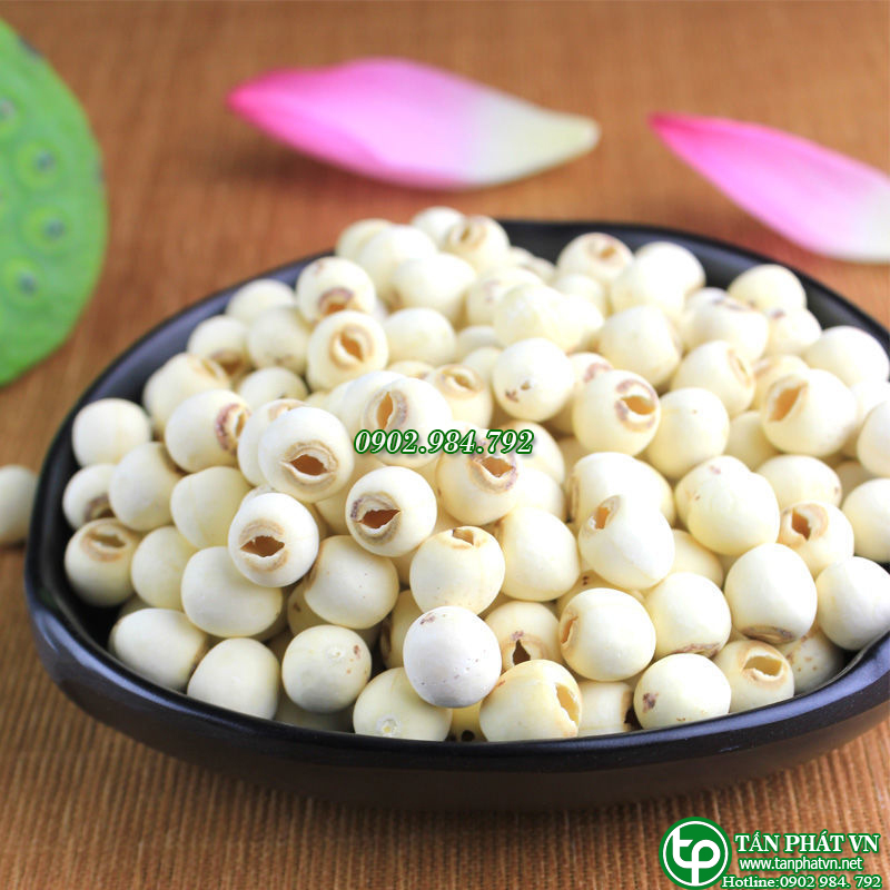 Hạt sen sấy khô 1kg - Thảo Dược Tấn Phát