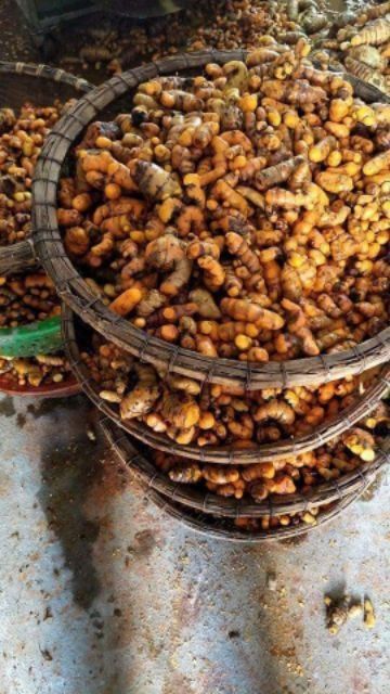 Tinh bột nghệ hộp 500g nguyên chất
