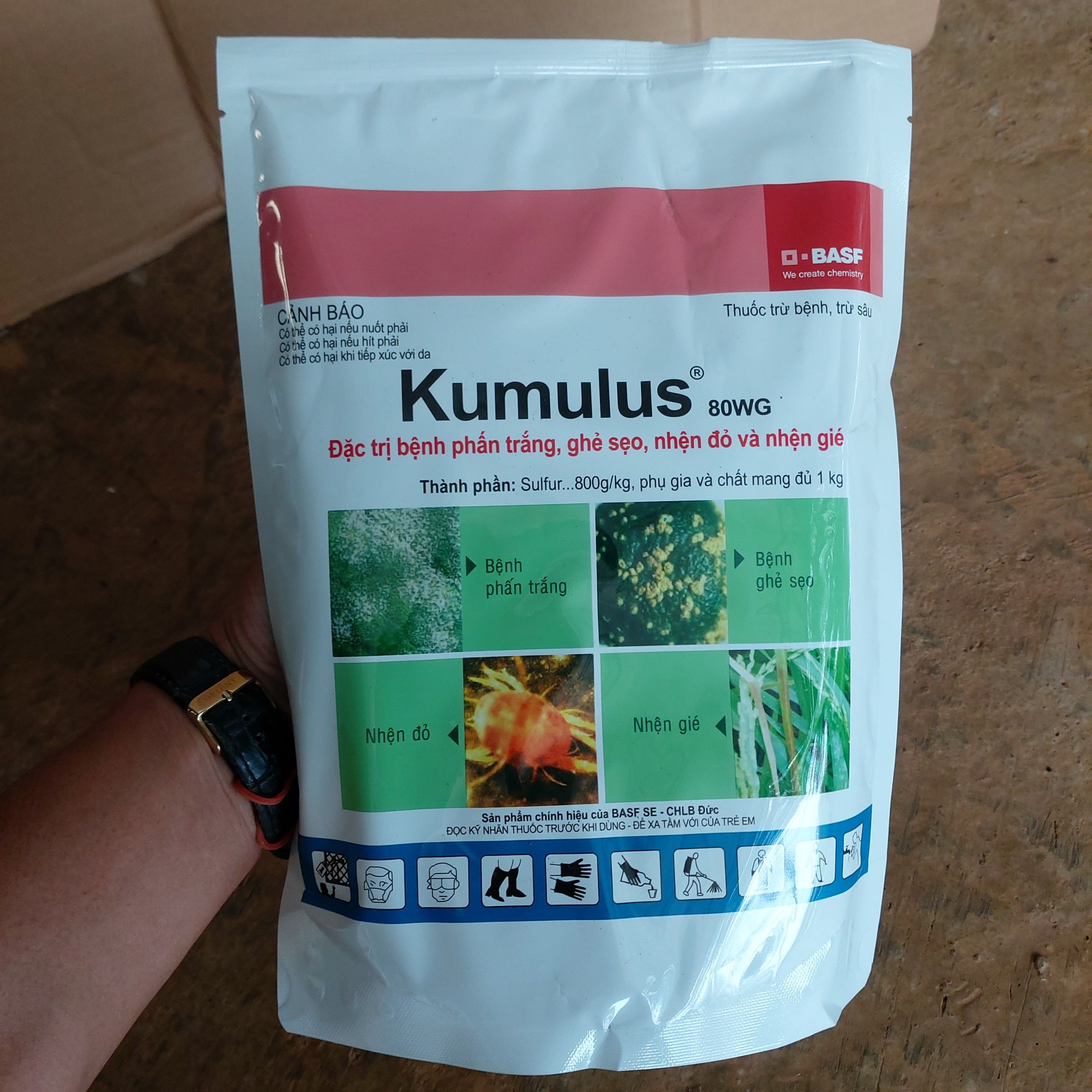 Thuốc trừ bệnh phấn trắng cho xoài – Kumulus 80wg