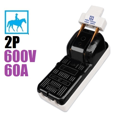 Cầu Dao Điện Cao Cấp 2 Pha 2P 60A 600V