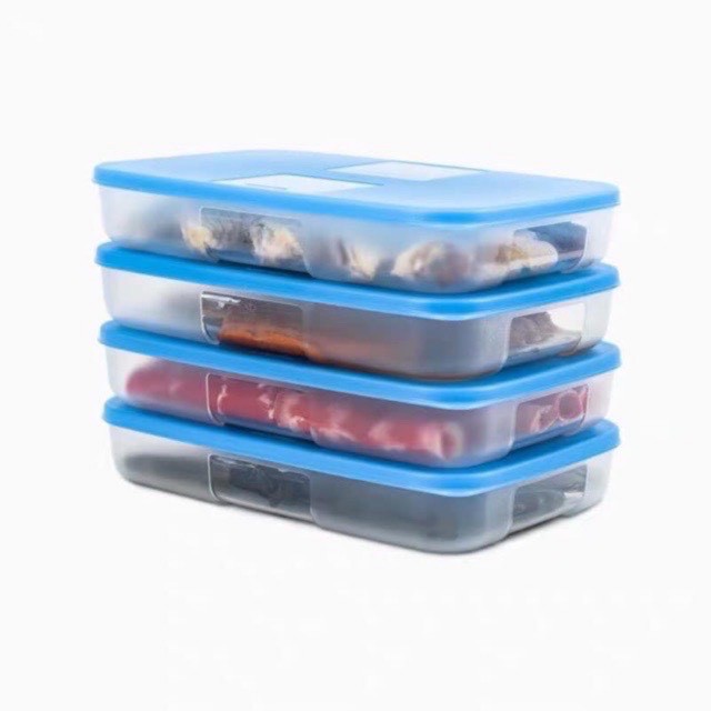 Hộp Trữ Đông Dẹt Tupperware 550ml - Tupperware Mall Chợ Lớn