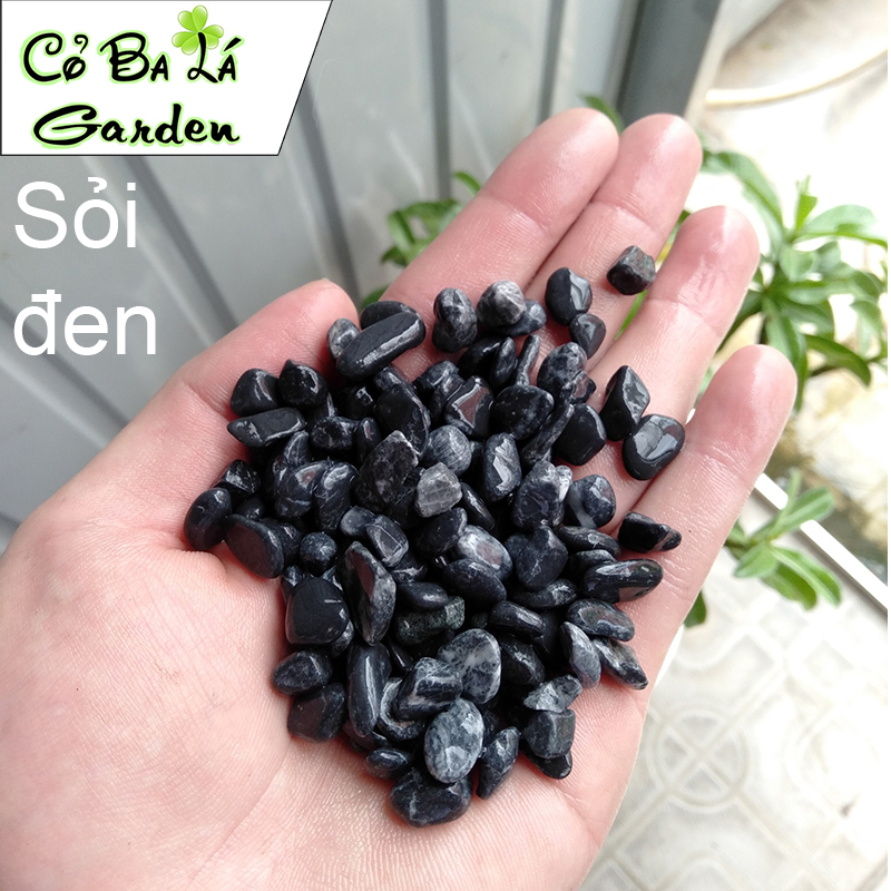 Sỏi Suối 500gr để trải mặt cây, hoặc lót bể cá