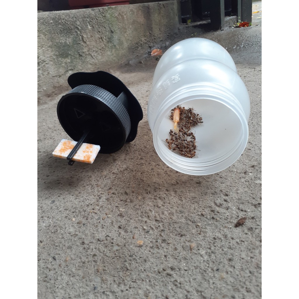 COMBO BỘ THUỐC NHỬ + ĐÈN BẪY NHỐT RUỒI VÀNG