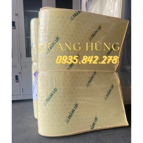 Nệm cao su non Thắng Lợi chính hãng giá rẻ