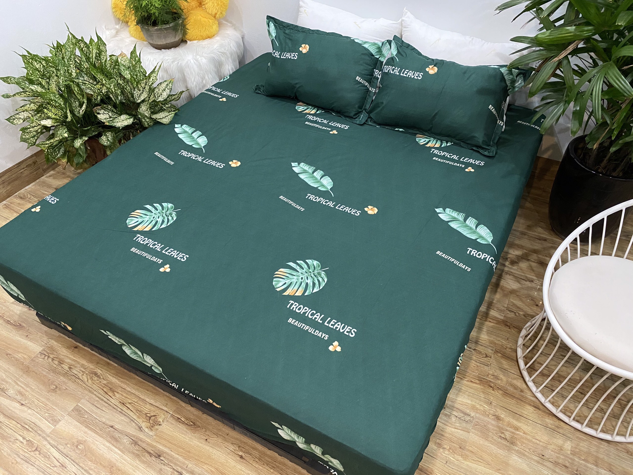 Bộ Ga Gối 3 Món ( Gồm 1 Ga Bo Chun + 2 Vỏ Gối) Mã CH219