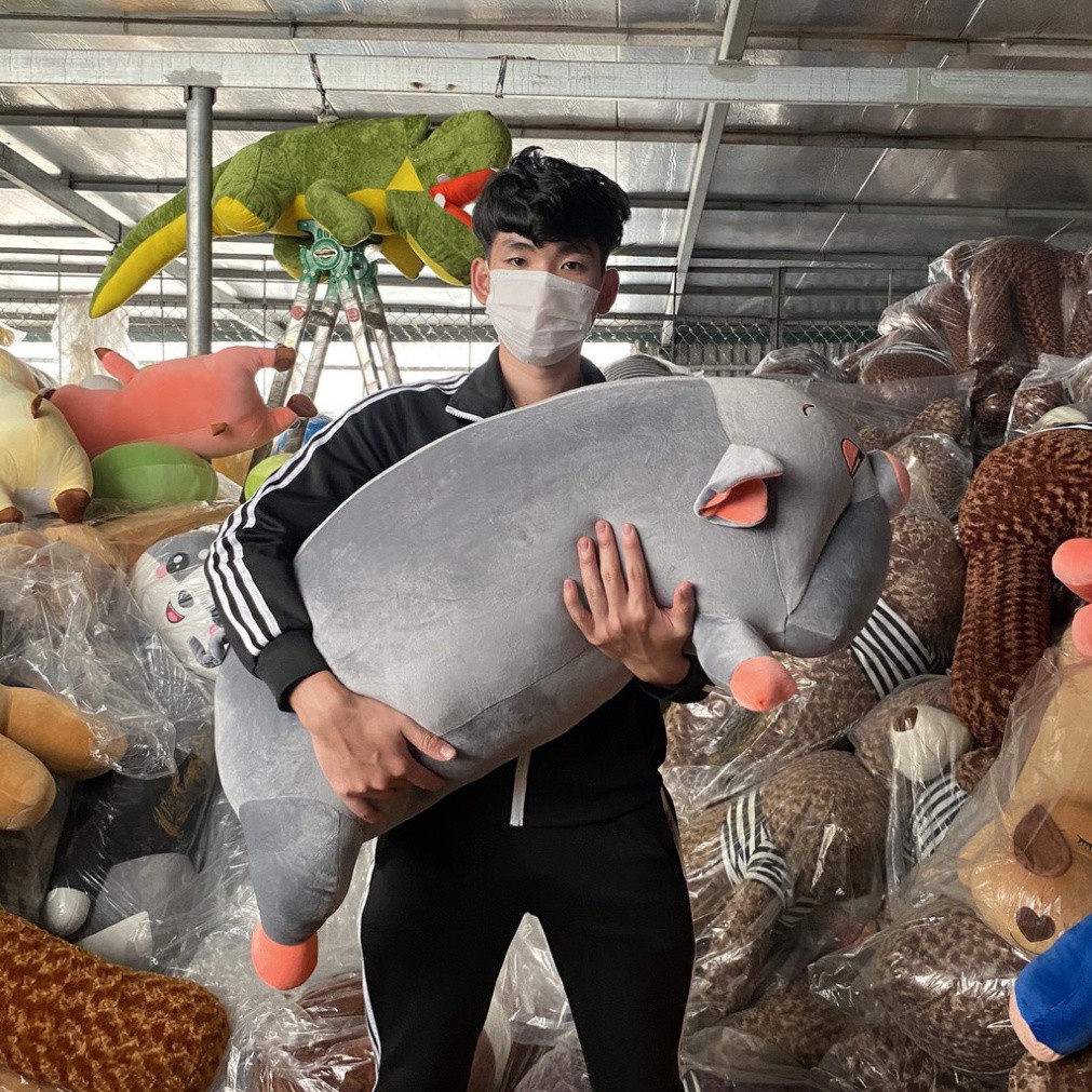 Gấu Bông to Gối Ôm Heo Lợn 75cm - 1m