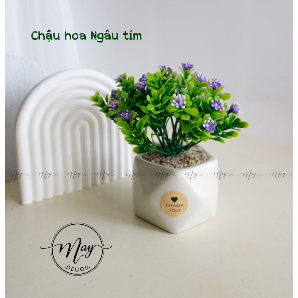 Hoa giả, Chậu hoa Ngâu để bàn trang trí