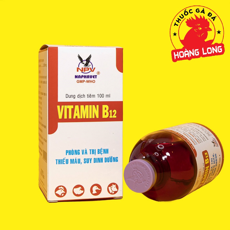 VITAMIN B12 100ML cho gà đá