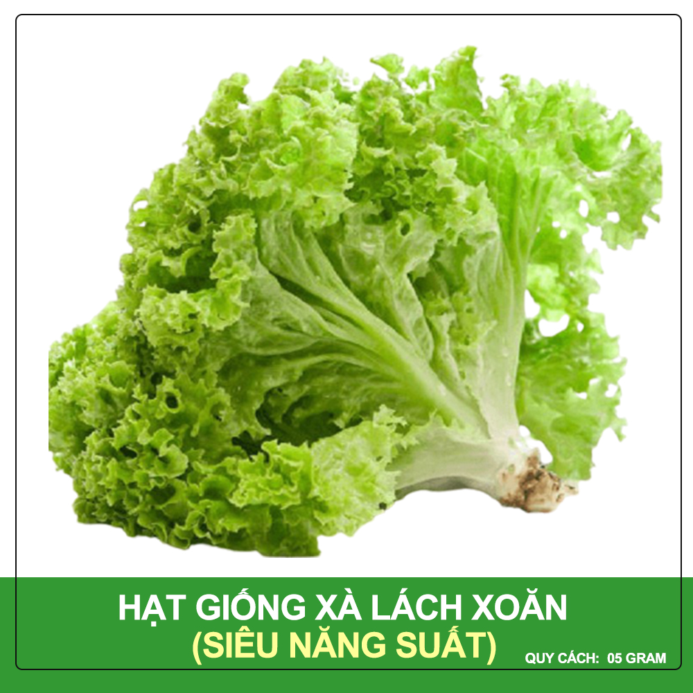 Hạt Giống Xà Lách Xoăn Sư Tử Hạt Đen Phú Nông Gói 5 Gram
