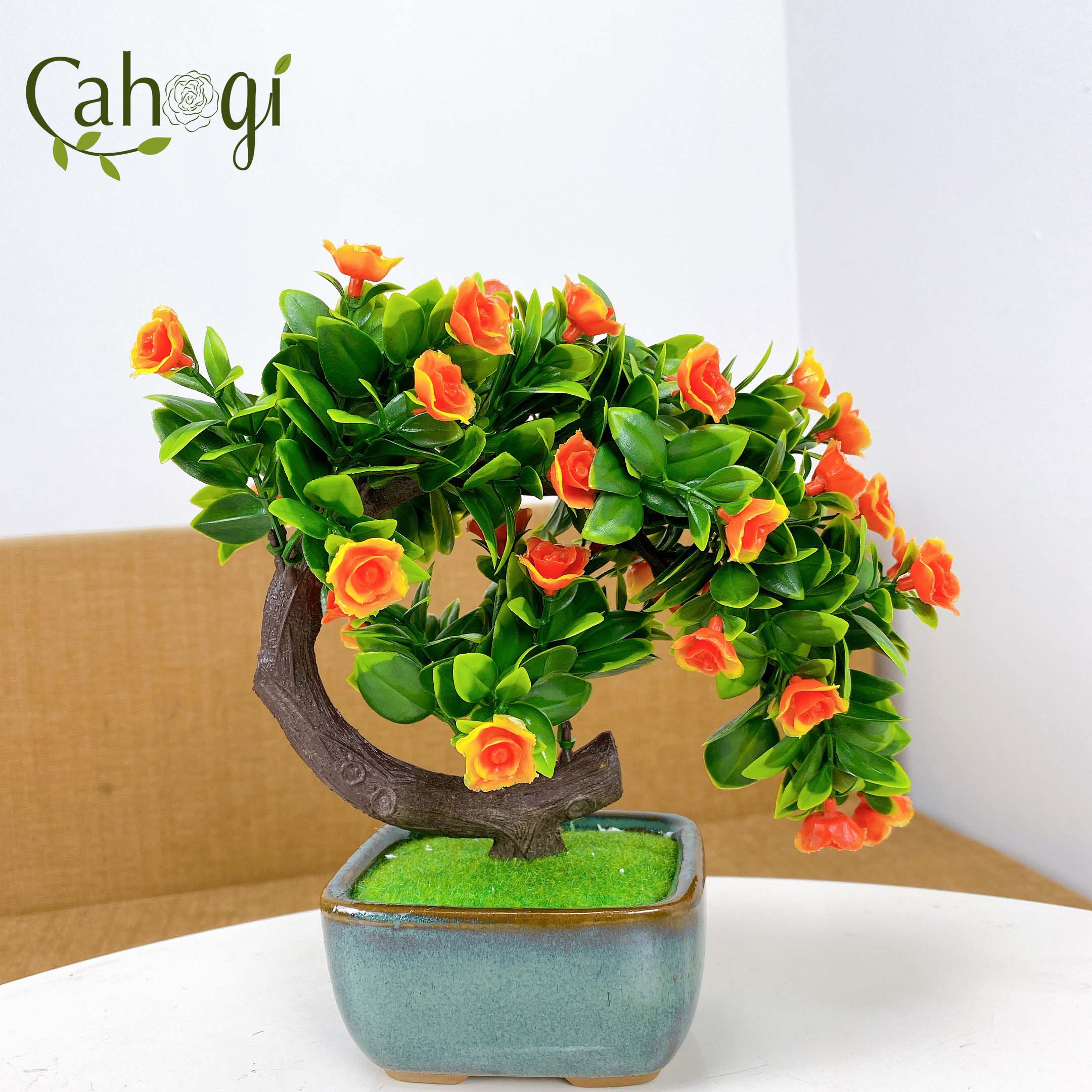 Chậu Cây Giả Để Bàn Chậu Hoa Bonsai