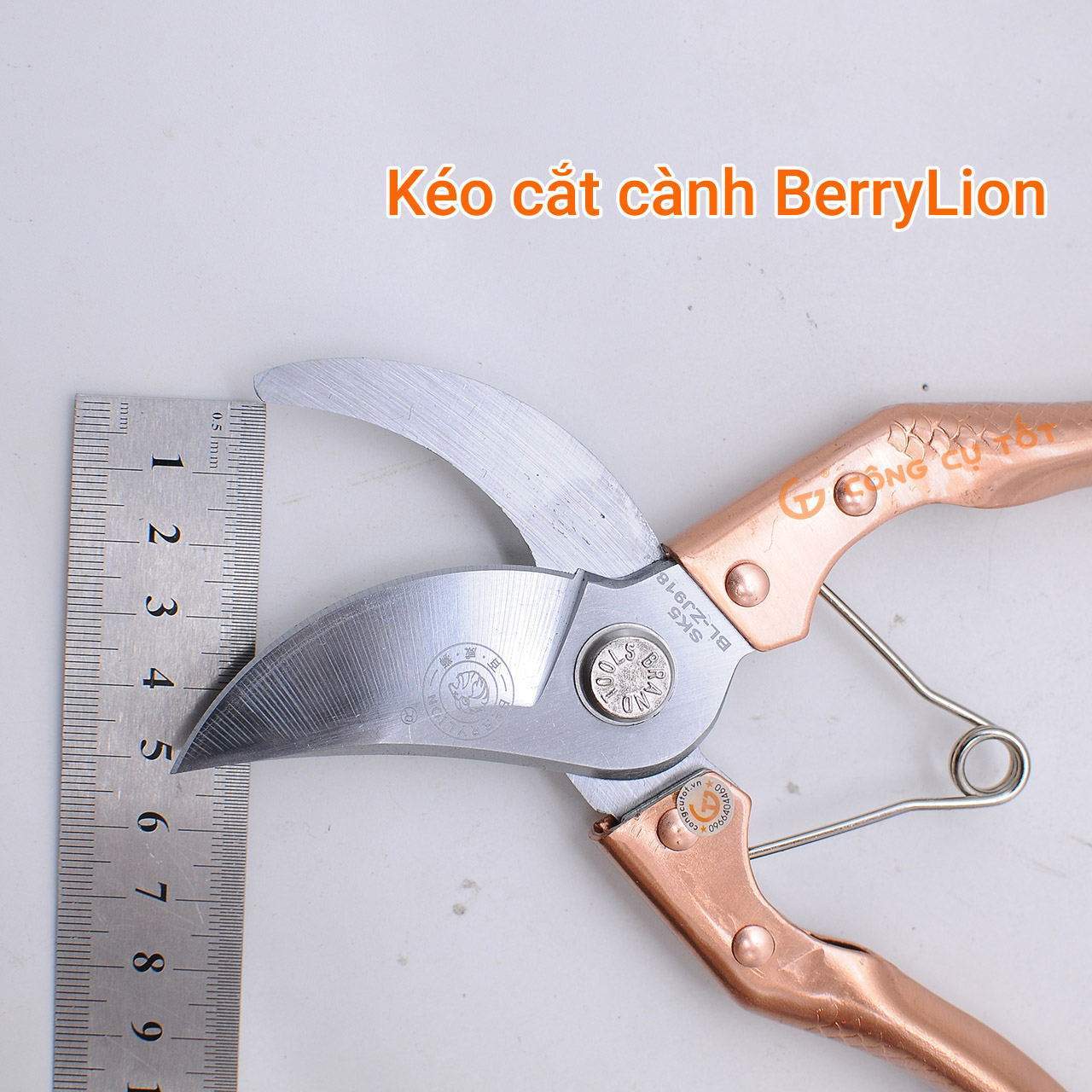 Kéo cắt cành mỏ cong cán đồng Berrylion
