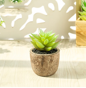 Cây giả - Chậu Sen đá Xơ dừa (cả cây và chậu)
