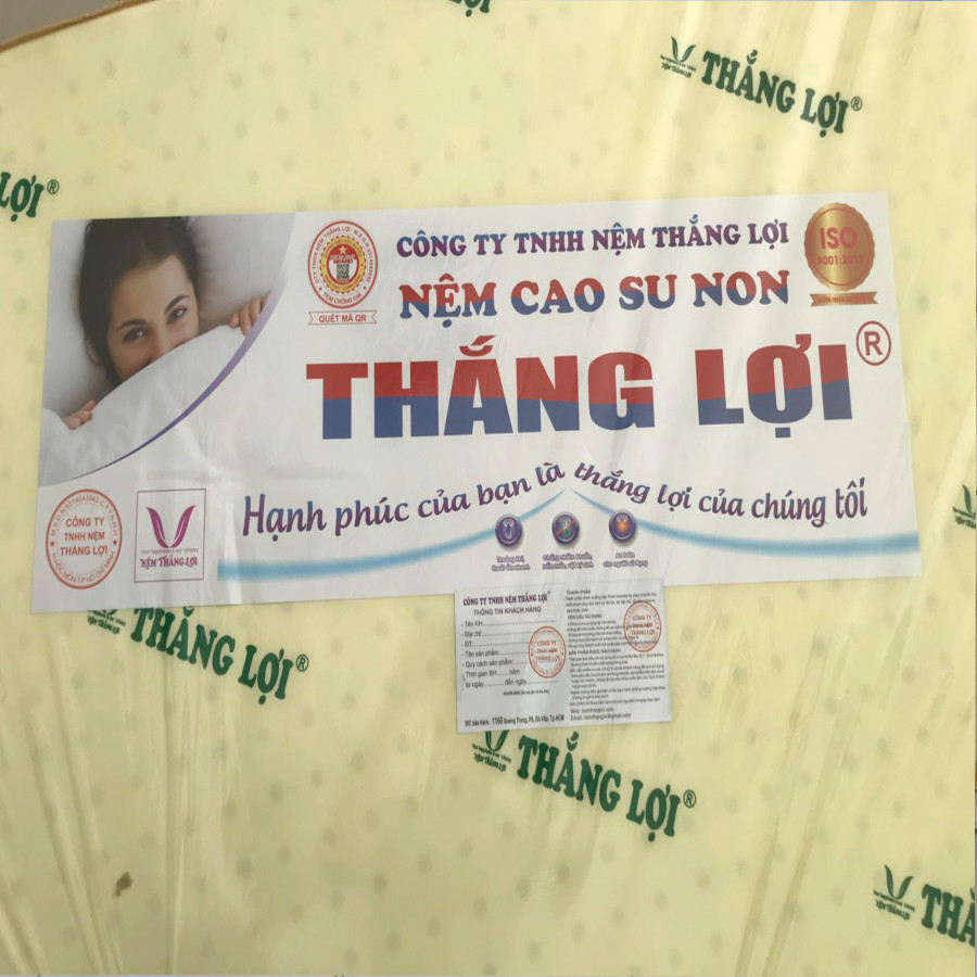 Nệm Dày 10 Cao su non Thắng Lợi cao cấp (giá tại nhà máy)