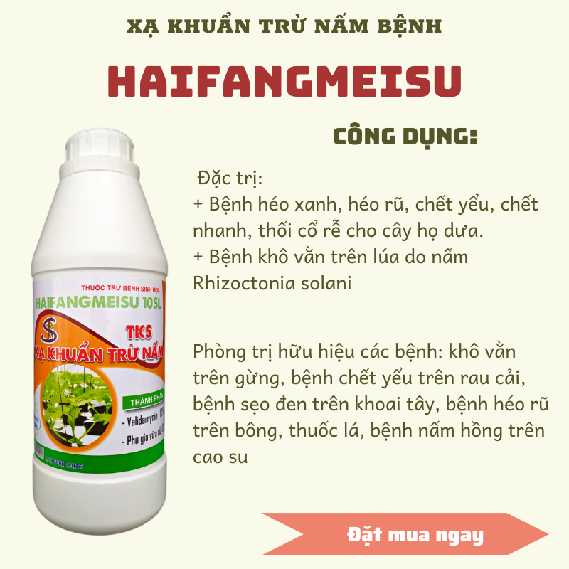 Xạ khuẩn Trừ Bệnh VALIDAMYCIN 10SL (10%)  Chai 900ml: thối nhũn dưa, thối rễ, héo xanh