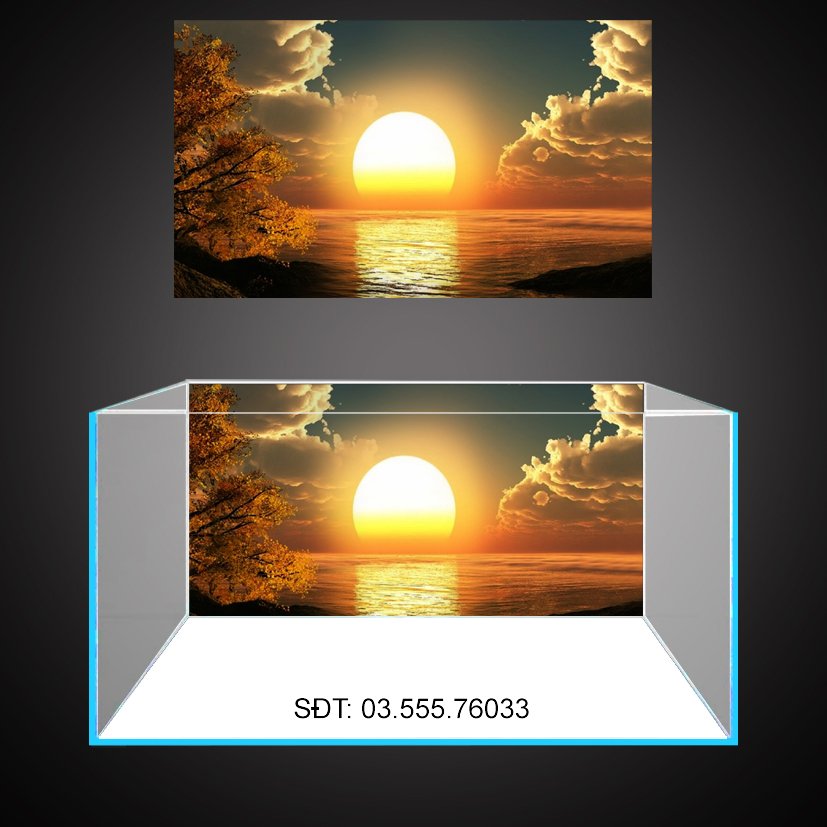 Tranh 3D dán hồ cá, bể thuỷ sinh, siêu đẹp và nét, có keo sẵn trên bề mặt, có thể in theo kích thước yêu cầu (40, 50, 60, 70, 80, 90, 100, 120, 150, 160, 180...)