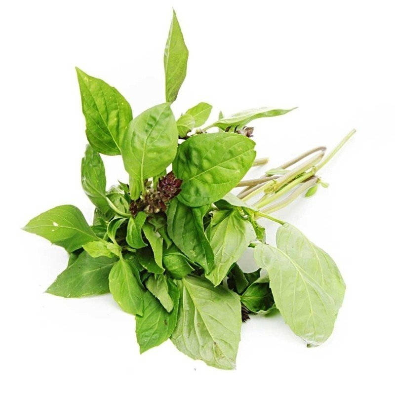 [Chỉ Giao HCM] Húng Quế - 100g