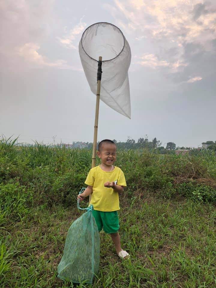 VỢT CHÂU CHẤU , CÀO CÀO