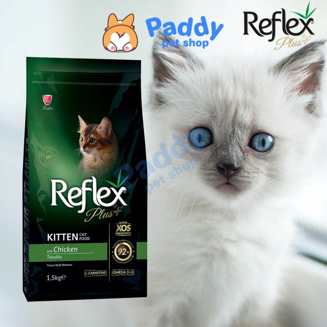 Hạt Reflex Kitten Loại Thường 2kg