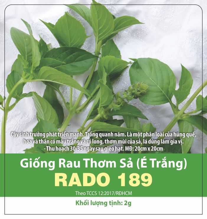 Hạt giống rau thơm sả - hạt giống rau thơm