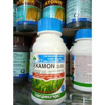 DEKAMON 100ML