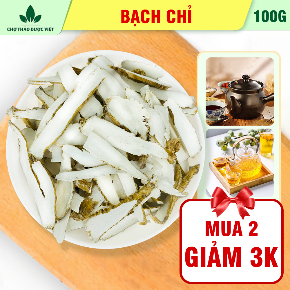 Bạch chỉ khô 100g, thái lát mỏng, trắng, thơm, hỗ trợ sức khỏe - Chợ Thảo Dược Việt
