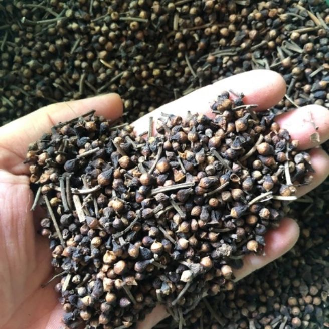 Sỉ toàn quốc 2kg nụ vối khô