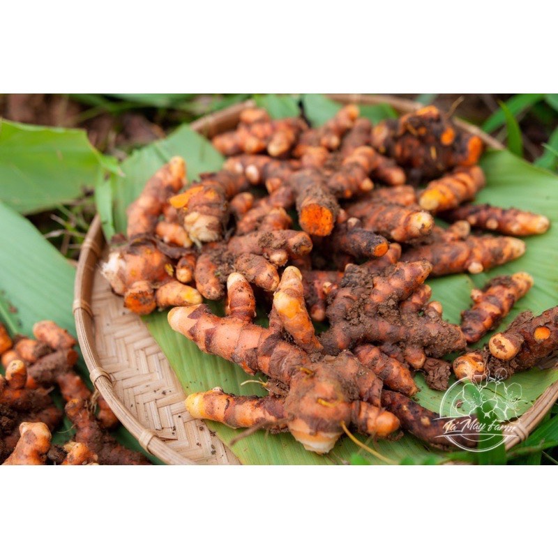 Nghệ mật phấn hoa hồng nhuận làn da