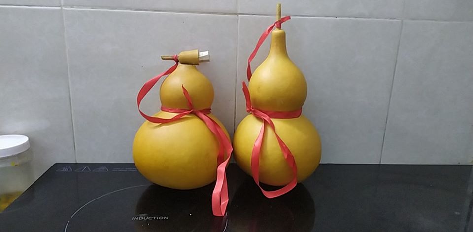 hạt giống bầu hồ lô giống to (100 hạt)