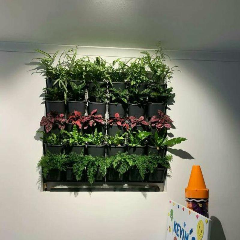 Combo 36 chậu và khung trồng cây trên tường