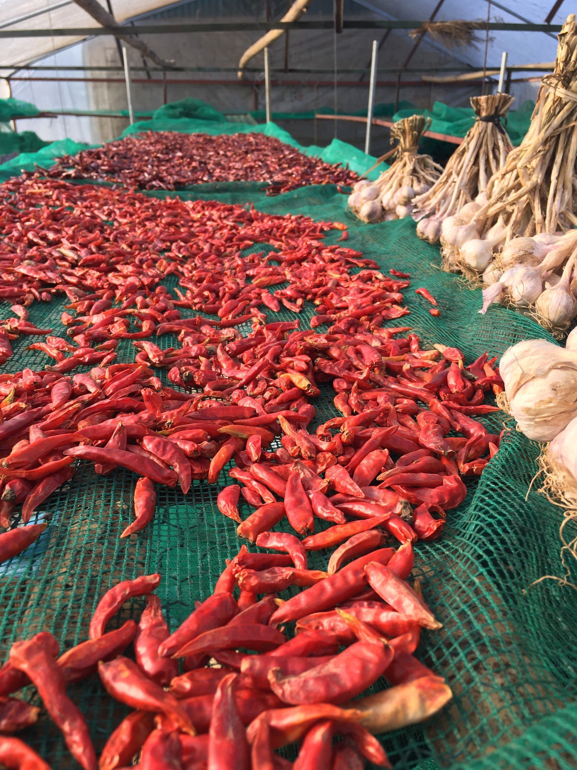 Chẩm chéo Tây Bắc - Nước chấm thần thánh