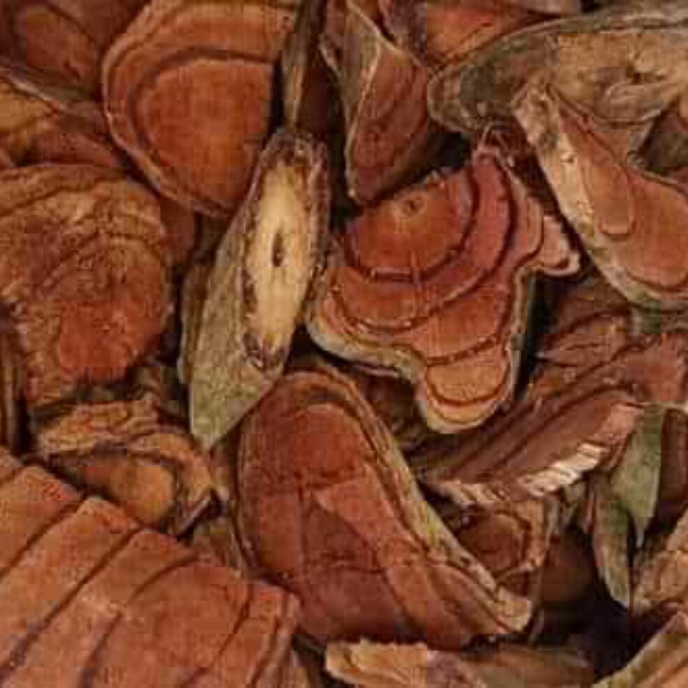 1 kg cây cỏ máu