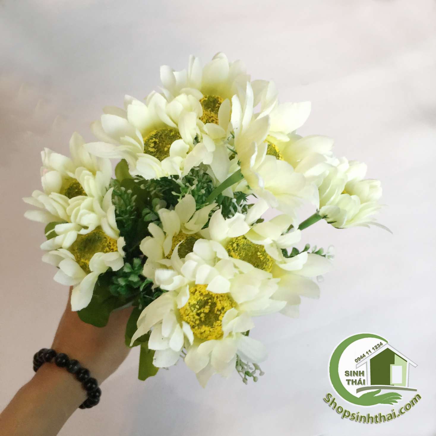 [HCM]Bụi hoa cúc thạch thảo màu trắng - bụi cao 38cm