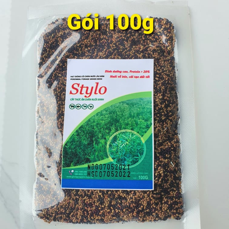 Hạt Giống Cỏ Stylo – Dinh Dưỡng Cao