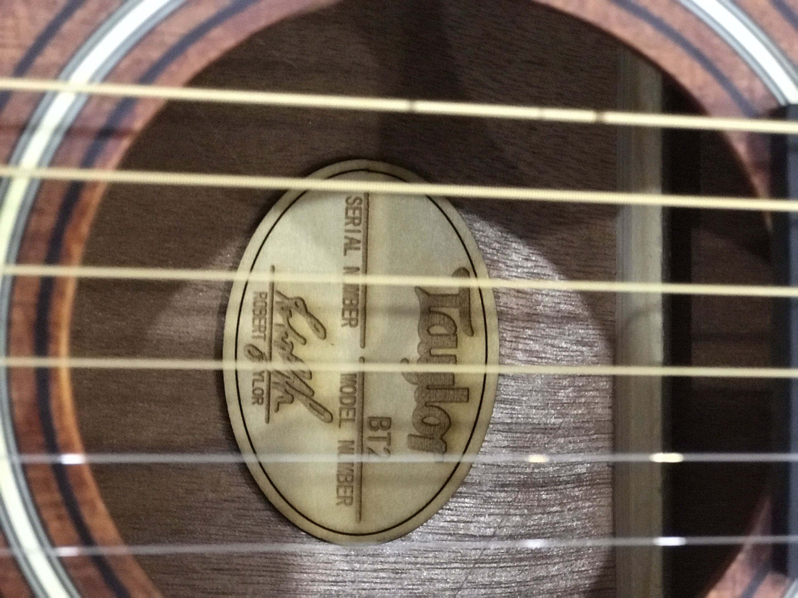 Đàn Guitar Taylor BT12 GT245
