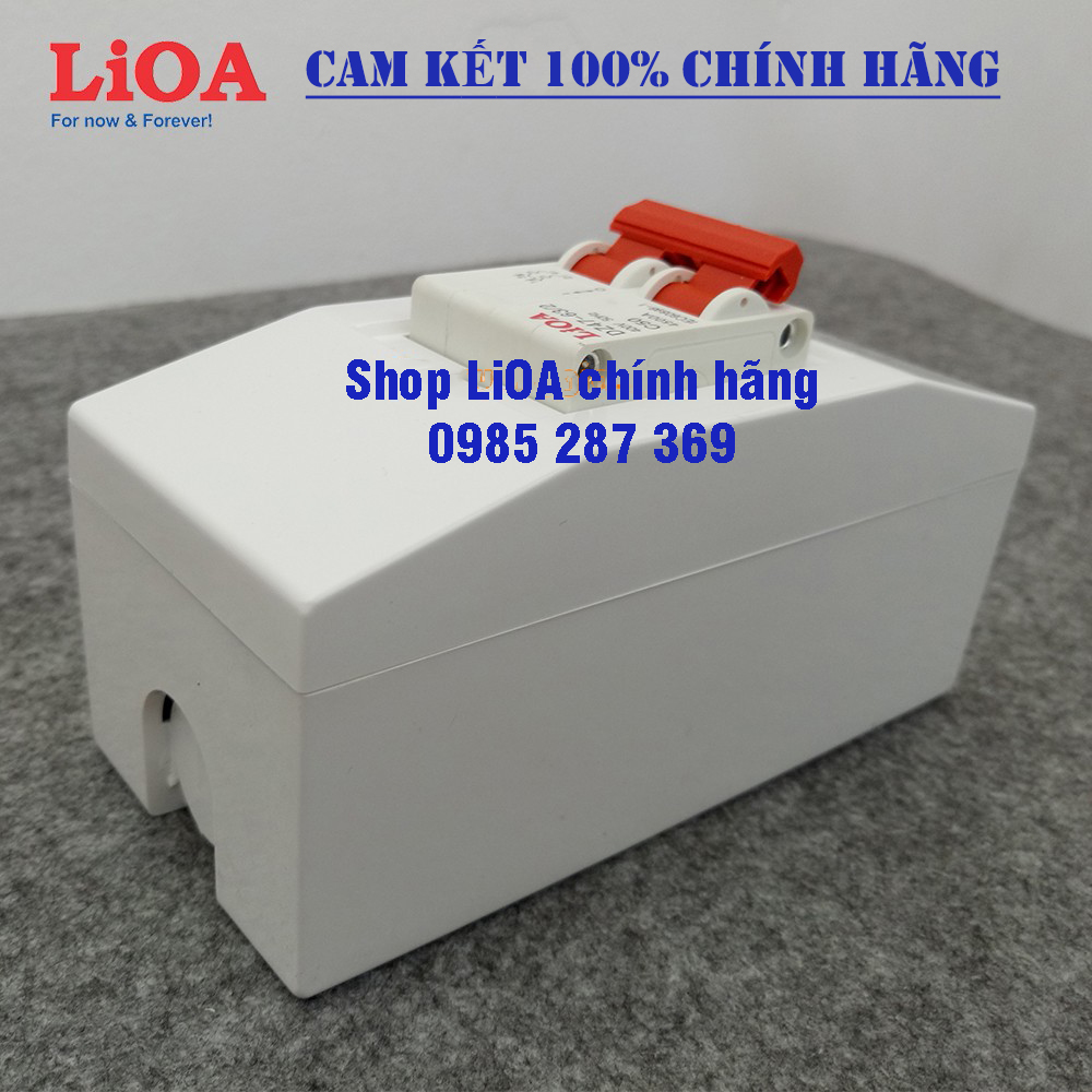 Combo cầu dao tự động (APTOMAT) LiOA loại 2 cực - Lắp nổi