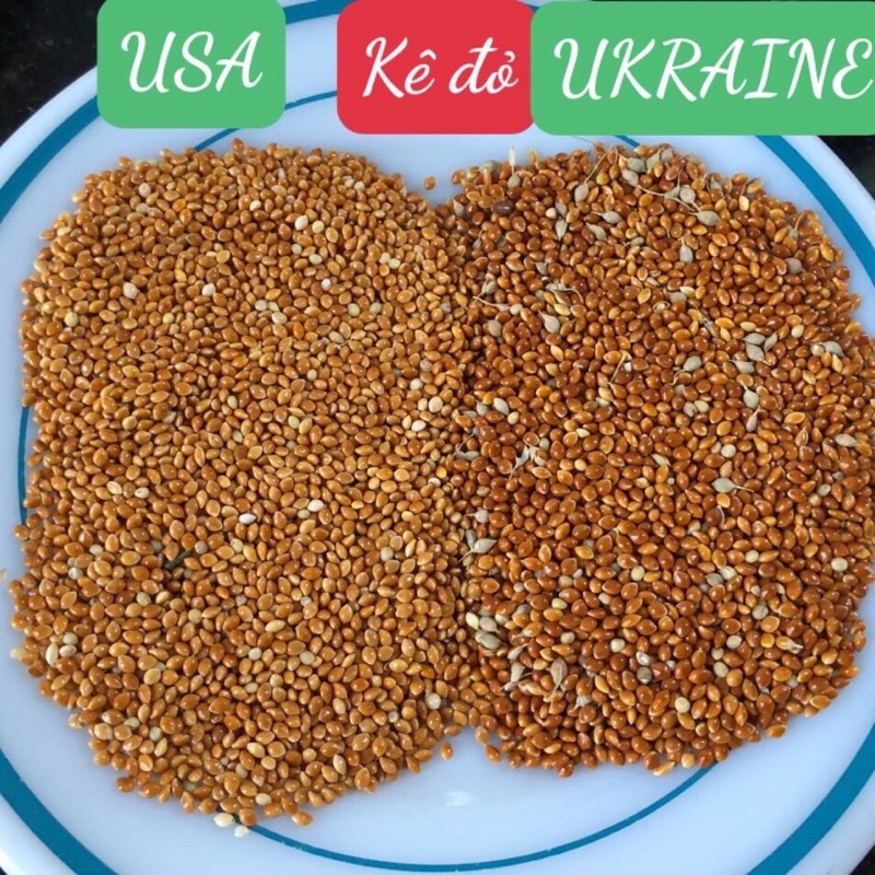 Kê đỏ bóng hạt to hàng nhập cho chim 1kg