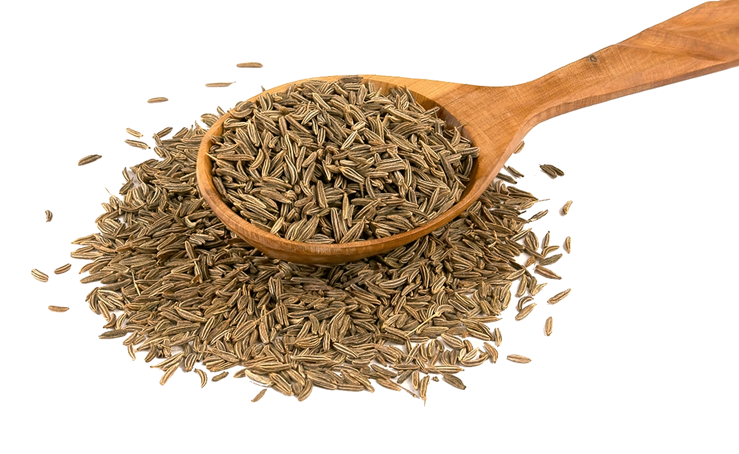 Cumin Seeds - Jeera - Hạt Thì Là Jeera (100g - 500g)